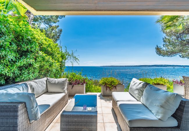 Appartement à Cannes - ADRIANA By Terry's Homes