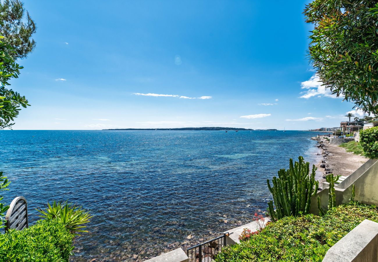 Appartement à Cannes - Adriana I  By Terry's Homes pieds dans l'eau