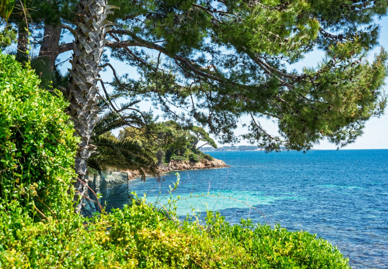 Appartement à Cannes - Adriana I  By Terry's Homes pieds dans l'eau