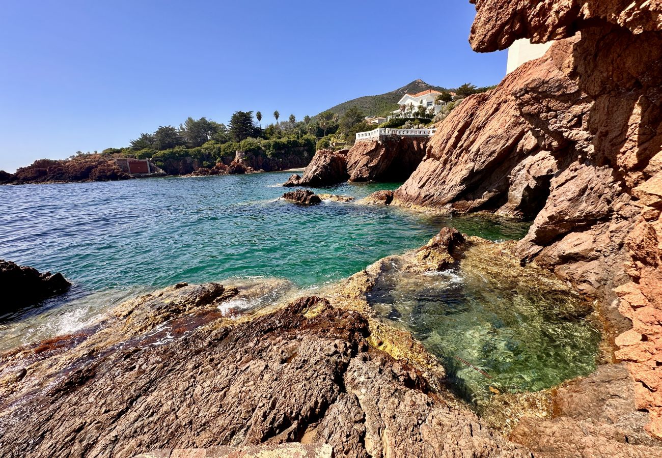 Appartement à Saint Raphael - Cap Nérée By Terry's Homes - Estérel